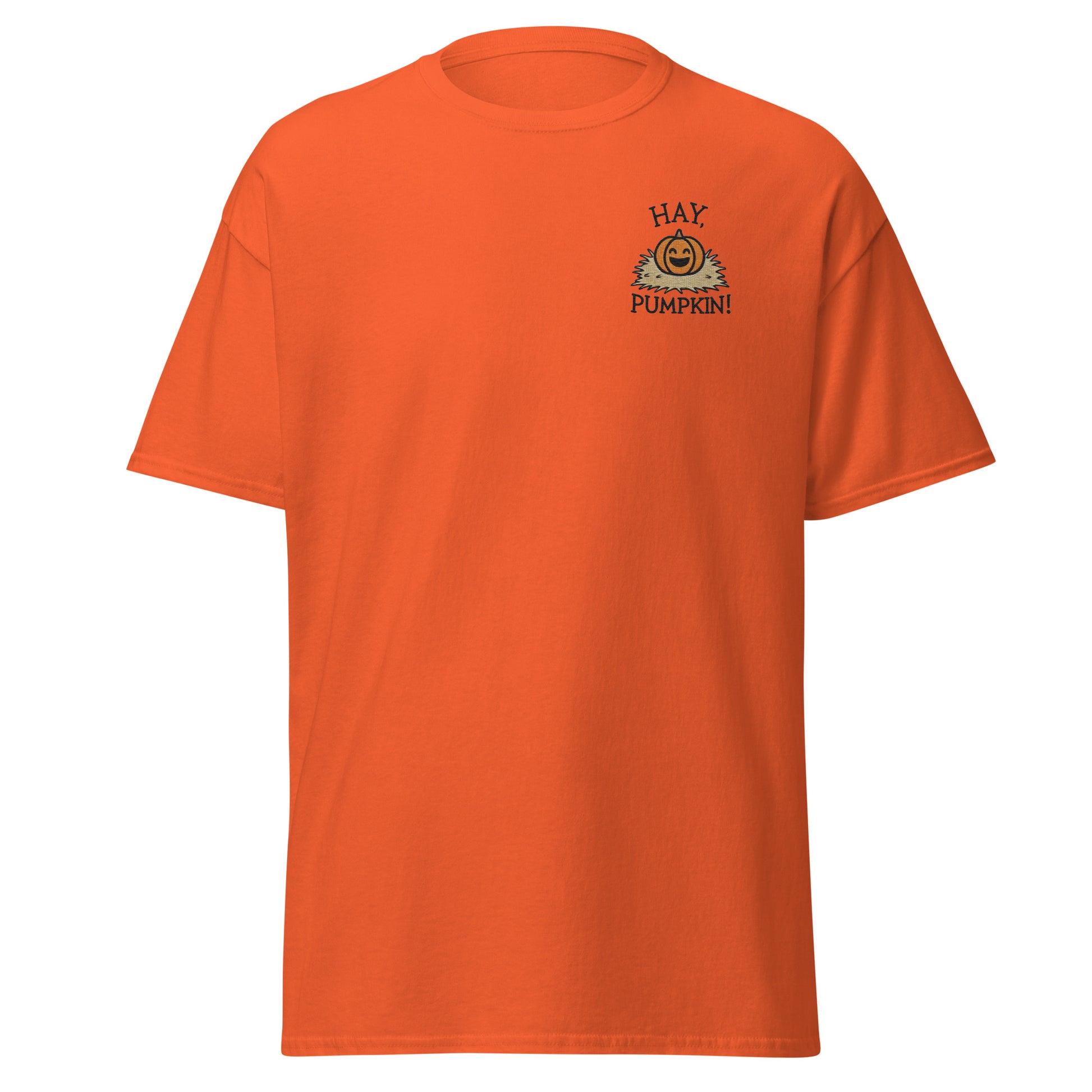 Unisex Fall Embroidered T-Shirt – "Hay, Pumpkin" – Fun & Festive Fall Tee for Autumn Lovers - Occasion Nation Studio