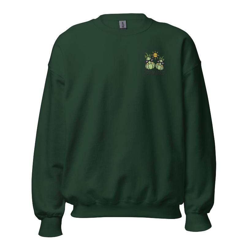 Unisex Fall Embroidered Sweatshirt – "Squash Goals" - Occasion Nation Studio